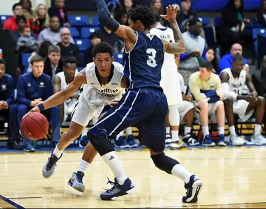 Potter's career high not enough as CSU falls to Longwood, 78-76, in double overtime Image