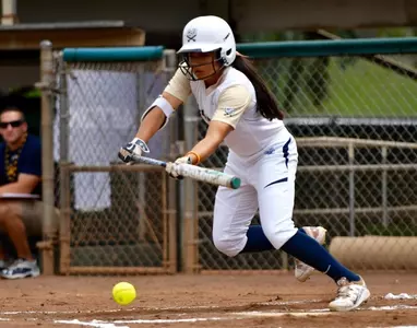 Strong Utah offense pushes Utes past Bucs, 5-1 Image
