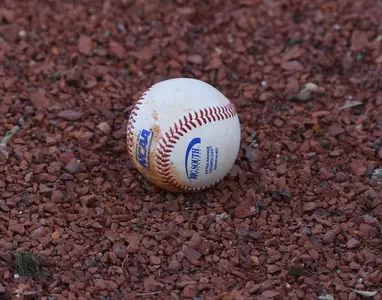Tuesday Baseball at Georgia Southern Canceled Image