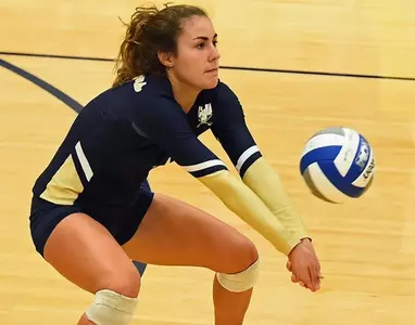 VB Preview | Bucs take on Savannah State and S.C. State in midweek action Image