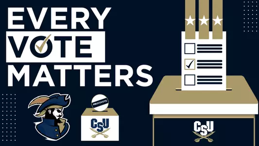 everyvotematters_long