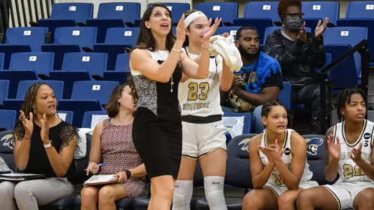 WBB bench