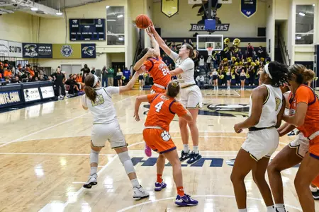 wbb