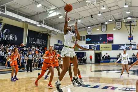 wbb