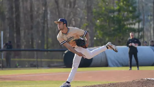 joel baseball