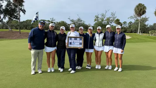 WGOLF FRIPP WIN