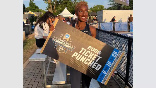 Maeva Ticket Punched LJ