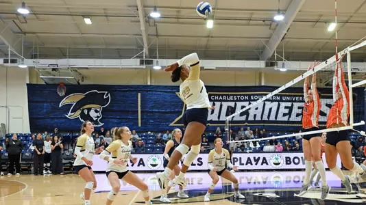 Cal St. Fullerton - Laila Hilton