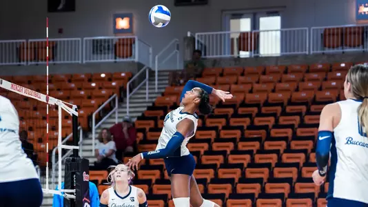 Laila Hilton - Georgia State