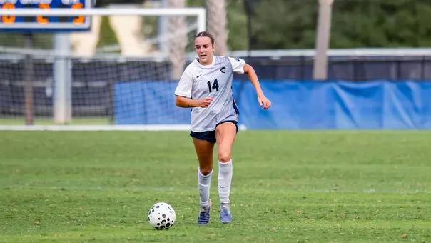 WSOC UPSTATE RECAP