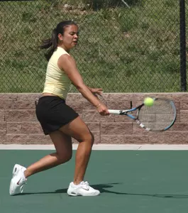 gleisy torres torres