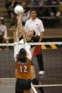 Allie Griffin