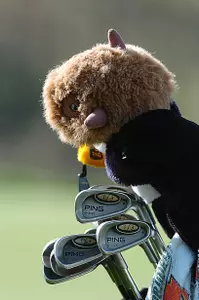head covers