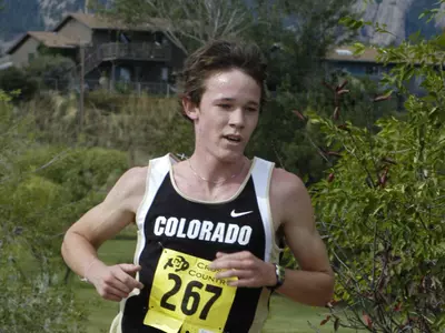 Matt Tebo