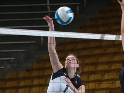 Emilee Sisco