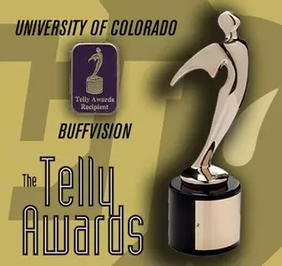 2007 BuffVision Telly Award Icon