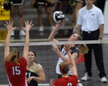 Volleyball-sutherland tip.jpg