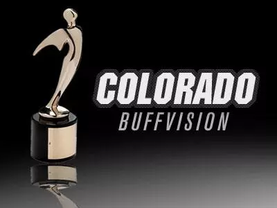 BuffVision Awarded Second Telly of 2007-08