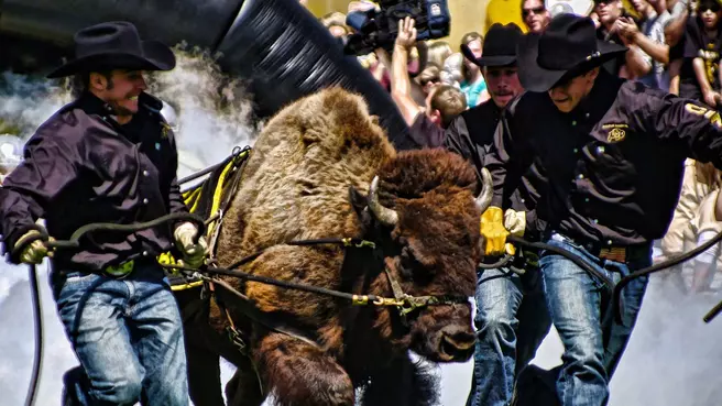 2010 CU Football Preview Luncheon Set For February 4