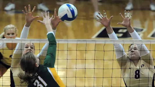 Tigers Take Buffs In Four