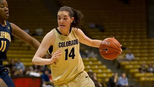 Buffs Put Away Bears, Face Wyoming Next