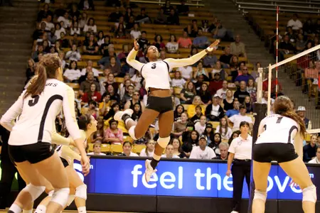 Buffs Fall to Wildcats