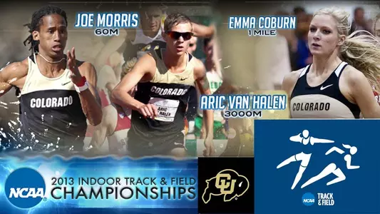 Trio of Buffs Head To NCAA Indoor Championships