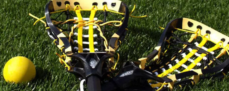 LAX sticks 1000x400