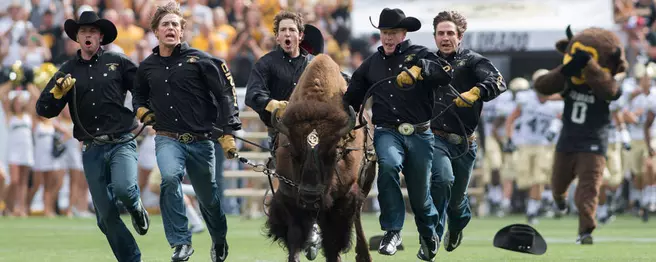Ralphie V (2007- )