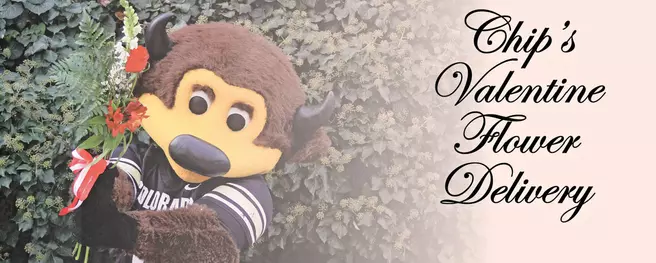 A Valentine's Day Delivery From Chip? Yes, Please!