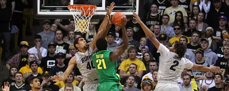 MBB To Take On Huskies Sunday Afternoon
