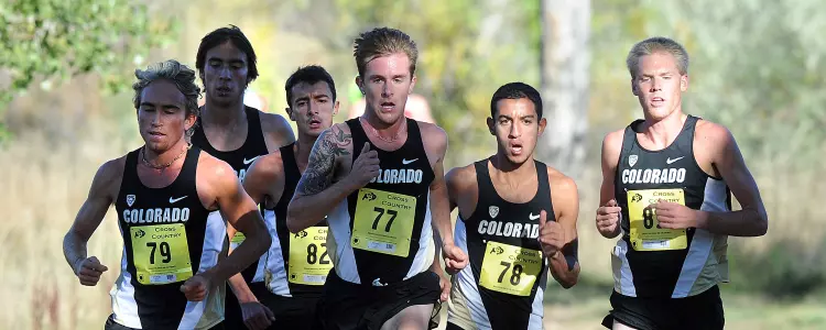 Men's Cross Country