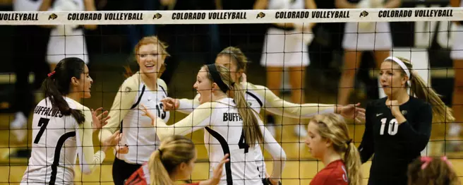 Volleyball To Celebrate 2014 Season