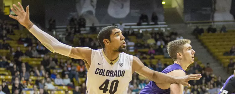 Josh Scott