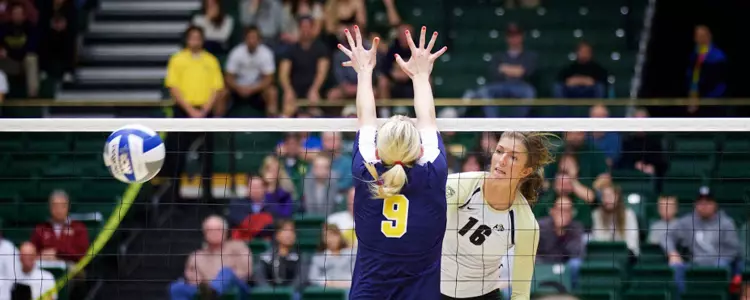 No. 19 Buffs Hold Off Bears To Advance In NCAA Tourney