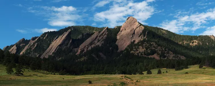 Generic Graphic Athletics Miscellaneous