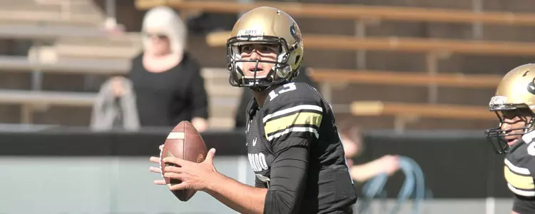 Liufau-Sefo-chsu.jpg