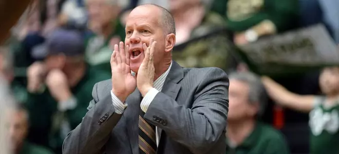 Tad Boyle