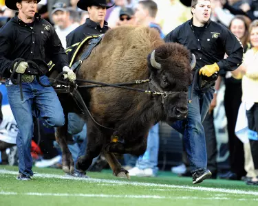Ralphie V