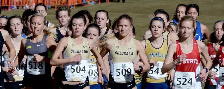 Former, Current and Future Buffs Shine