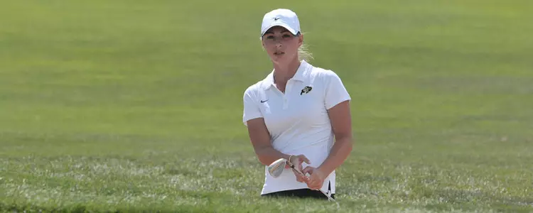 Jamie Oleksiew Ptarmigan