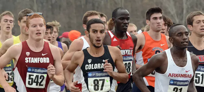 Ammar Moussa