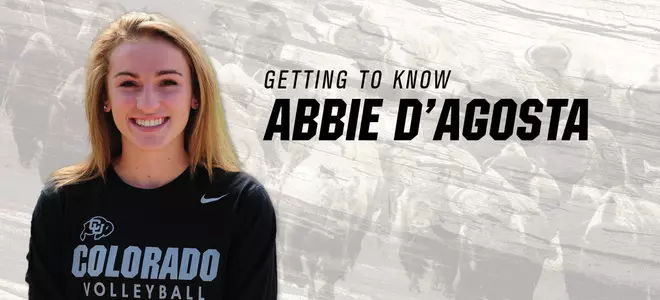 Abbie D
