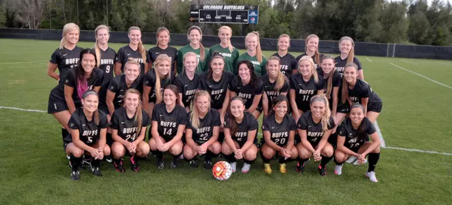 2015 Team