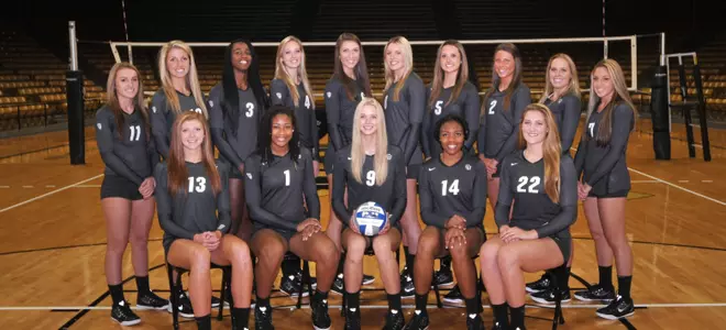 2015 Volleyball Team