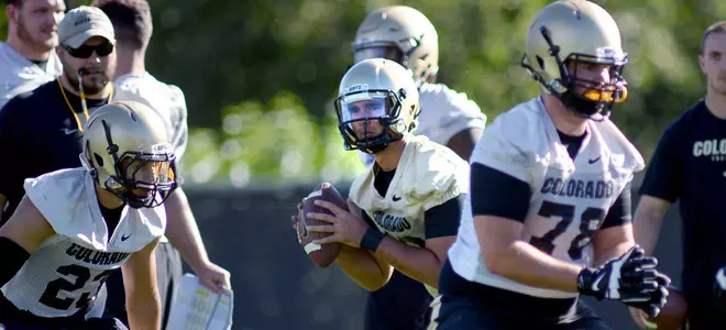 Sefo-Liufau.jpg