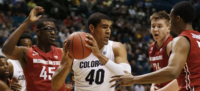 Boyle, Buffs Now Turn Attention To No. 15 Arizona