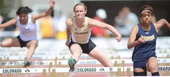 Michaela Wenning
