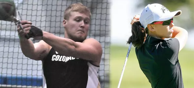 Keating and Rutt AOTW