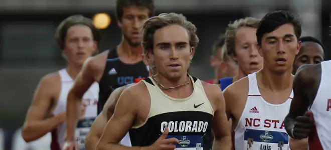 Pierce Murphy